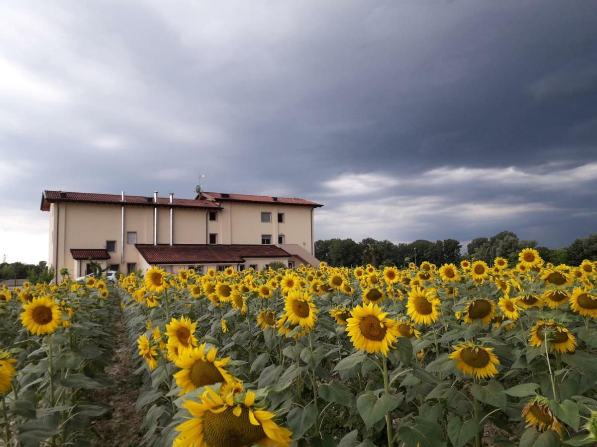 Al Cavaliere Villa Pordenone Room photo